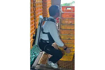 농민들의 친구된 AI… 감귤농가 이젠 ‘로봇’ 입고 일한다