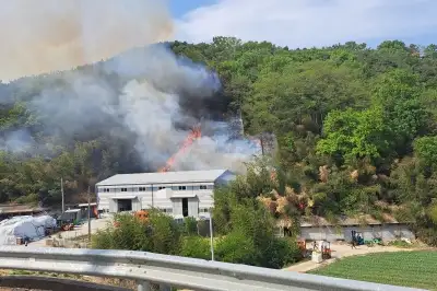 경북 고령 한 야산에서 불…2시간 만에 초진
