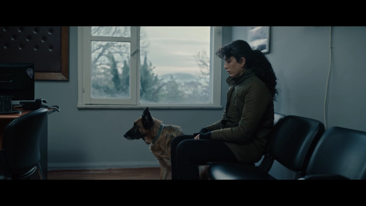 ‘돌과 깃털’ 스틸컷.  전주국제영화제 제공