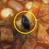 thumbnail - 떡볶이 시켰는데 ‘푹 익은 바퀴벌레’가…본사 “불쾌감 드려 죄송” 사과