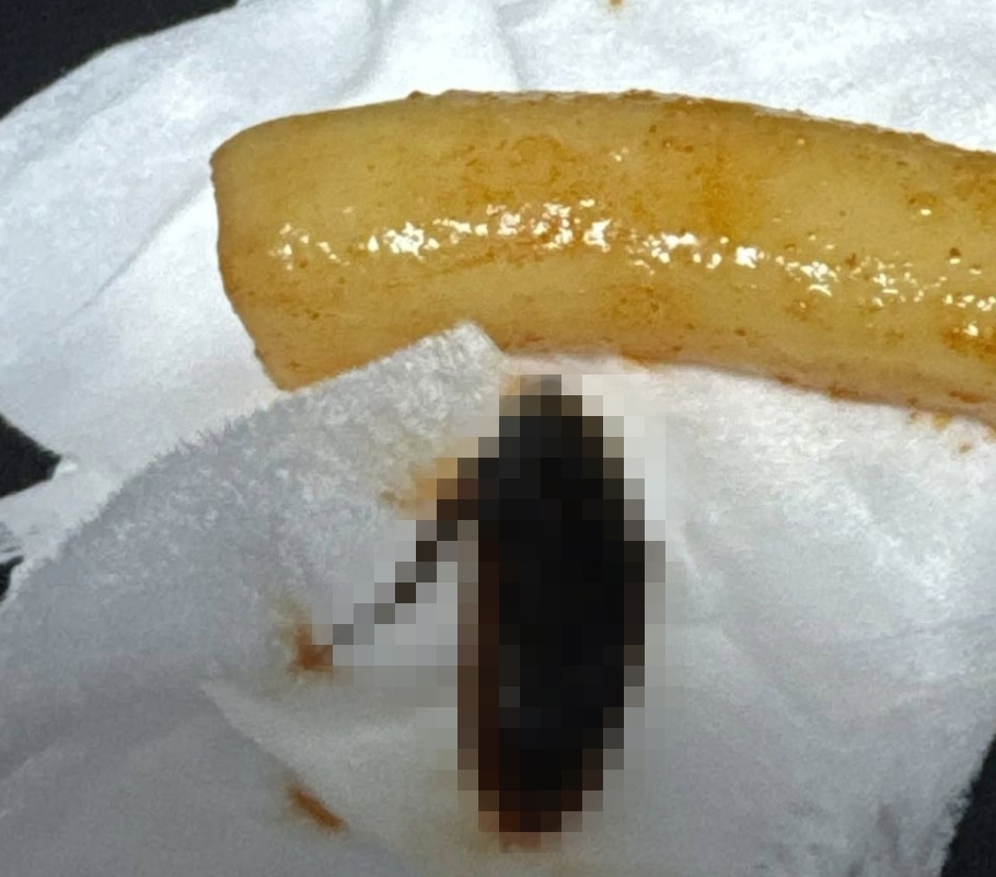 한 분식 프랜차이즈의 떡볶이에서 바퀴벌레로 추정되는 이물질이 나와 논란이다. 소셜미디어(SNS) 스레드 캡처