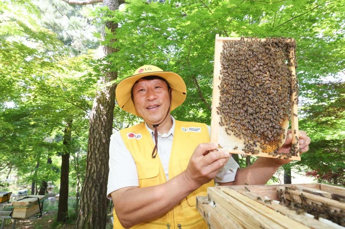 LG가 조성한 토종 꿀벌 서식지에서 김대립 명인이 꿀벌통을 들어 보이고 있다. LG 제공