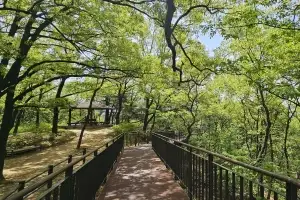 도봉, 둘리공원 숲길 개통… 도봉둘레길 2.0 막바지