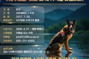 107번의 현장, 이제는 쉴 시간…구조견 ‘피코’ 새 가족 모집