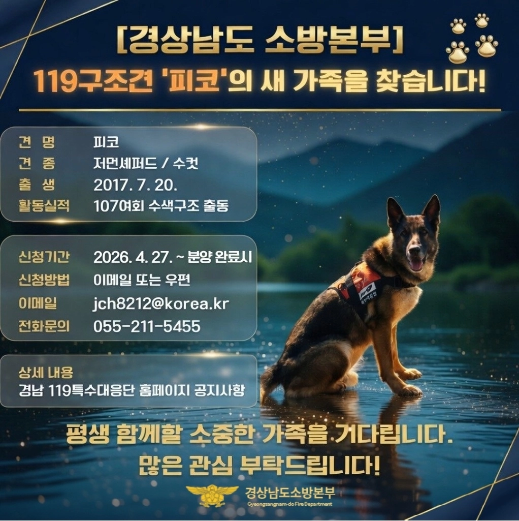 119구조견 피고 분양 가족 모집 안내문. 2026.4.29. 경남소방본부 제공