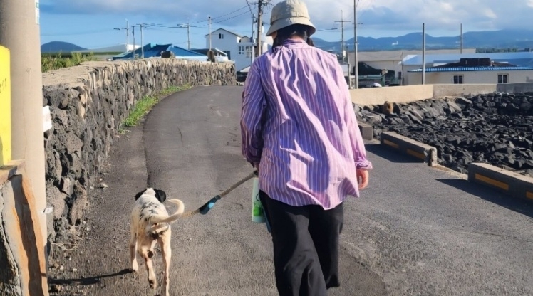 제주시 조천읍 시골 마당개 ‘바다’의 보호자가 뇌졸중으로 쓰러져 돌봄을 받을 수 없게 되자 동물보호단체 산책봉사자가 ‘바다’와 조천포구 올레길을 산책하고 있다. (사) 제주동물권행동 나우 제공