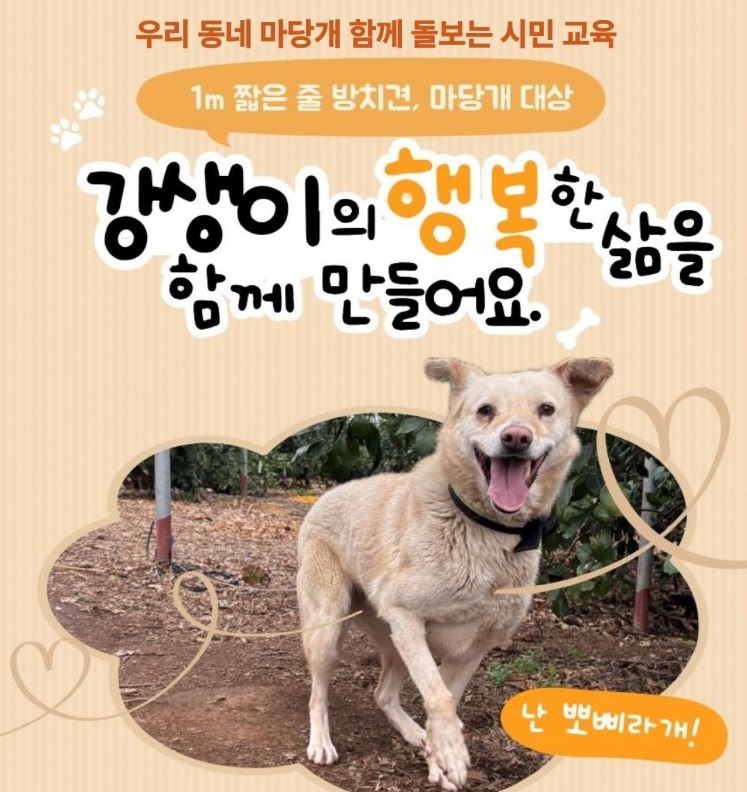 제주동물권행동 나우는 제주도와 손잡고 다음달부터 “도내 마당개 사육 환경 개선과 책임 돌봄 문화 확산을 위해 ‘우리 동네 마당개 함께 돌보는 시민교육’ 사업을 본격 추진한다. 제주동물권행동 나우 제공