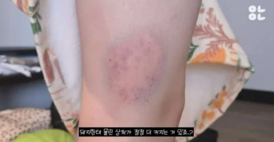 유튜브 ‘윤녕’ 캡처