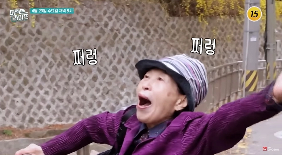 사진=TV조선 ‘퍼펙트 라이프’ 캡처