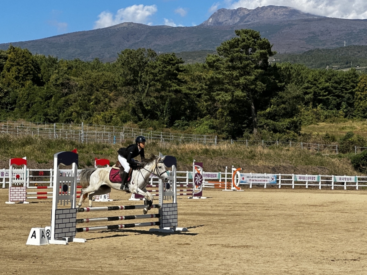 제주도는 오는 5월부터 11월까지 도내 곳곳에서 유소년·생활체육·전국대회 등을 아우르는 승마대회를 순차적으로 개최한다. 사진은 서귀포산업과학고등학교에서 지난해 열린 ‘제주도교육감배 전국 유소년 승마대회’ 모습. 제주도 제공