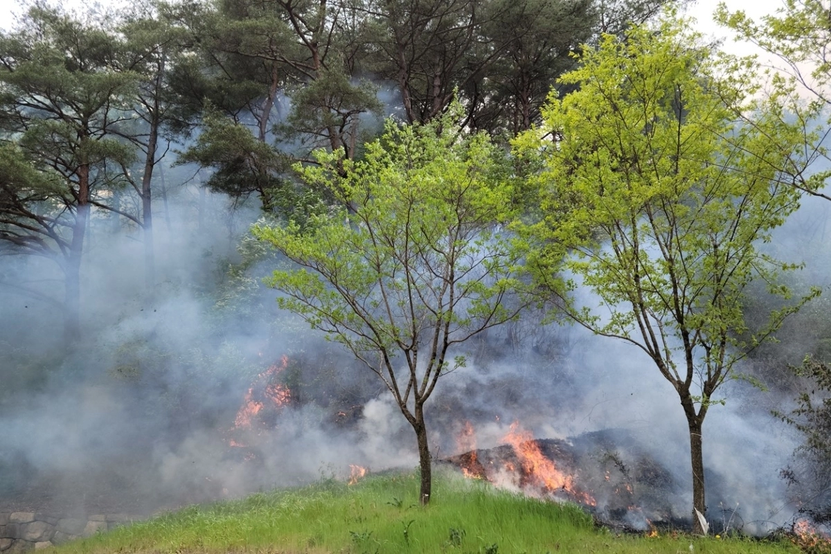 경북 영덕군 창수면 한 야산에서 29일 발생한 산불 현장. 경북소방본부 제공