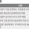 정부, 예산 8000억원 투입… ‘쉬었음 청년’ 스펙 돕는다