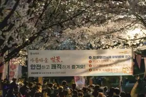 송파 석촌호수 벚꽃축제 900만명 왔다