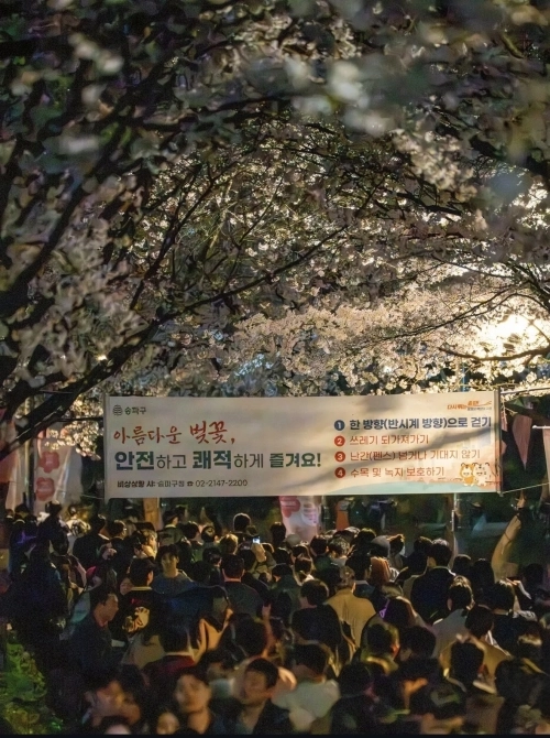 2026 호수벚꽃축제