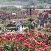 5월은 축제의 계절, 전북 곳곳에서 한마당 잔치