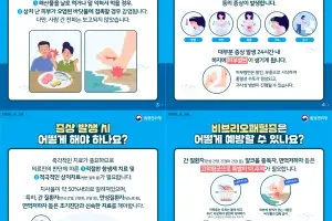 비브리오패혈증 주의보···올해 첫 사망자 발생