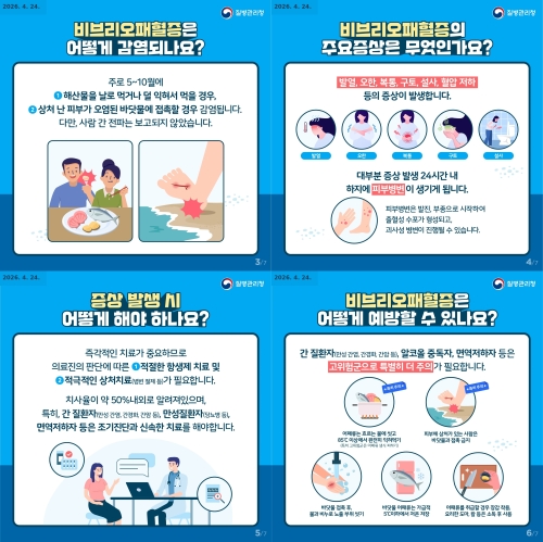 비브리오패혈증 카드뉴스