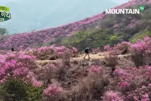 ‘너만 산이냐’부터 ‘오지객’까지… 마운틴TV 5월 프로그램 풍성