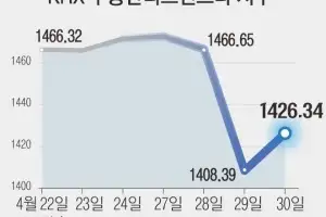 리츠발 급락 쇼크… 하루 만에 낙폭 줄이며 ‘옥석 가리기’ 장세