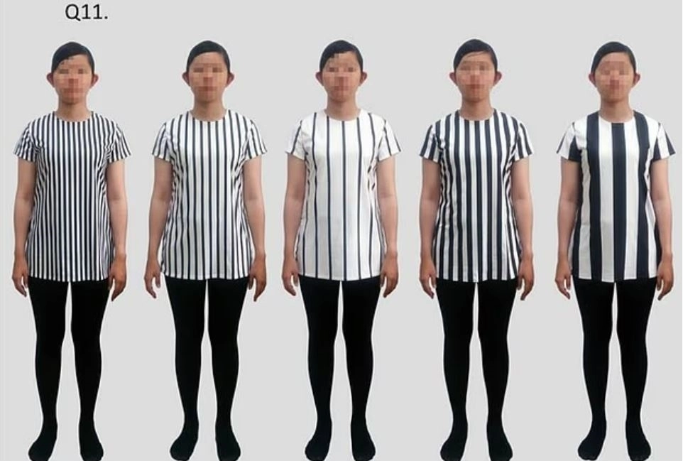 대만 국립윈린과학기술대학교 연구팀이 241명을 대상으로 실험한 결과, 가는 가로 줄무늬 상의가 가장 날씬해 보이는 것으로 나타났다. 학술지 ‘아이-퍼셉션’