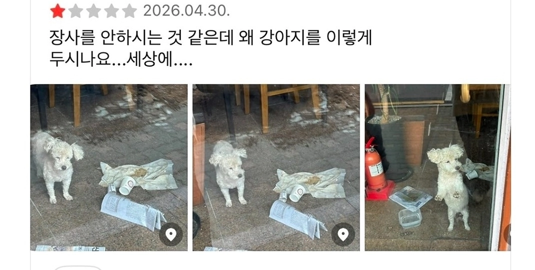키우던 반려견을 영업 중단한 매장 안에 방치하고 있다는 의혹이 제기된 서울 용산구의 한 식당 카카오맵 후기 캡처 이미지. 스레드 캡처