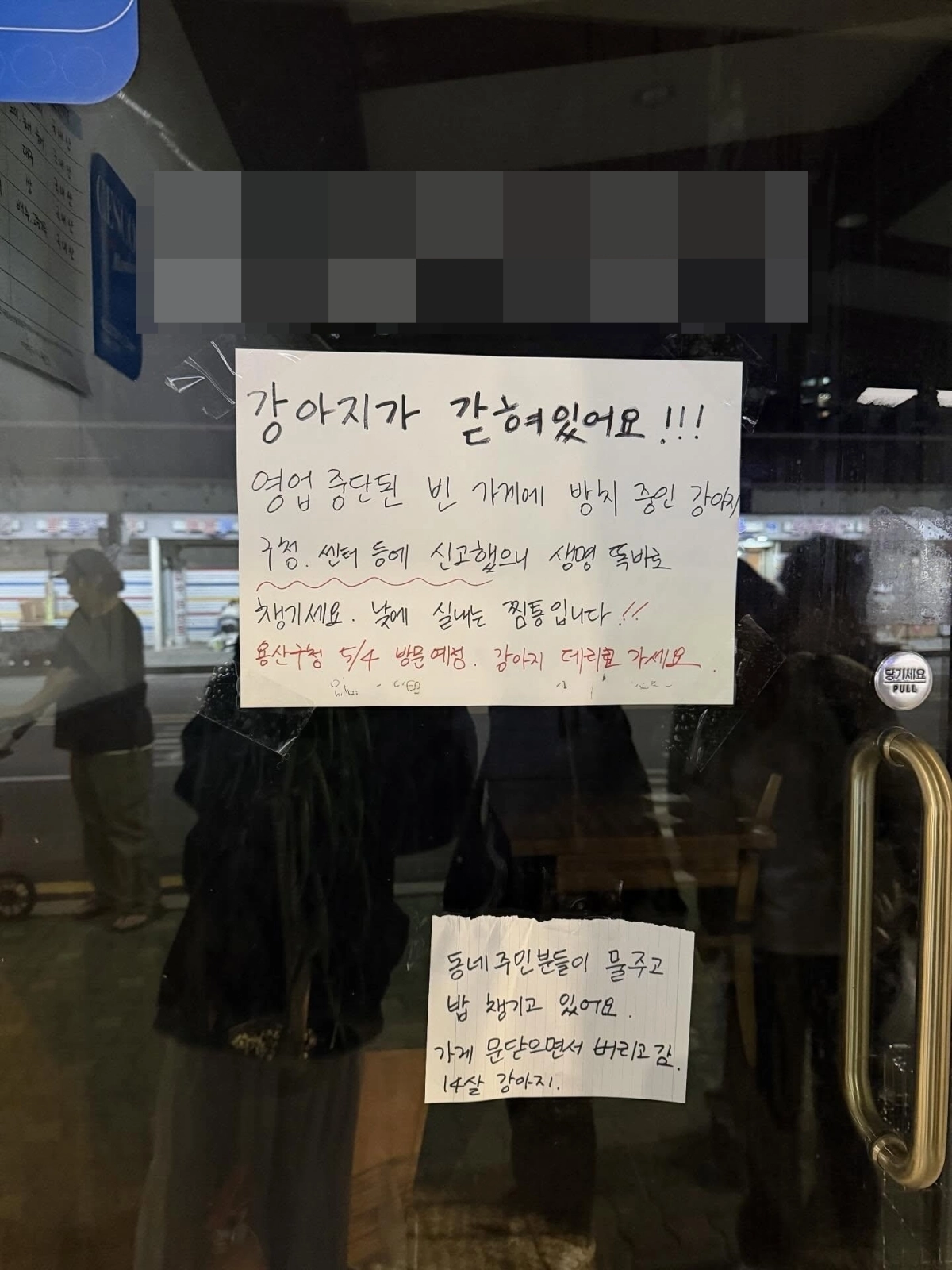 키우던 반려견을 영업 중단한 매장 안에 방치하고 있다는 의혹이 제기된 서울 용산구의 한 식당. 스레드 캡처
