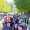 3일간 20만명 몰린 순천만국가정원···봄꽃보다 빛난 ‘사람꽃’ 축제