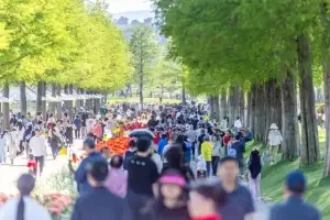 3일간 20만명 몰린 순천만국가정원···봄꽃보다 빛난 ‘사람꽃’ 축제