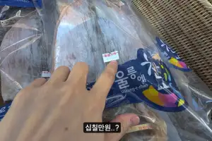 thumbnail - 오징어가 17만원? 깜짝…“온라인선 2만원대” 울릉도 여행 후기 ‘시끌’