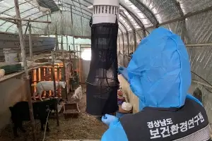 경남도, 올해 첫 일본뇌염 매개모기 확인…“야외 활동 때 주의”
