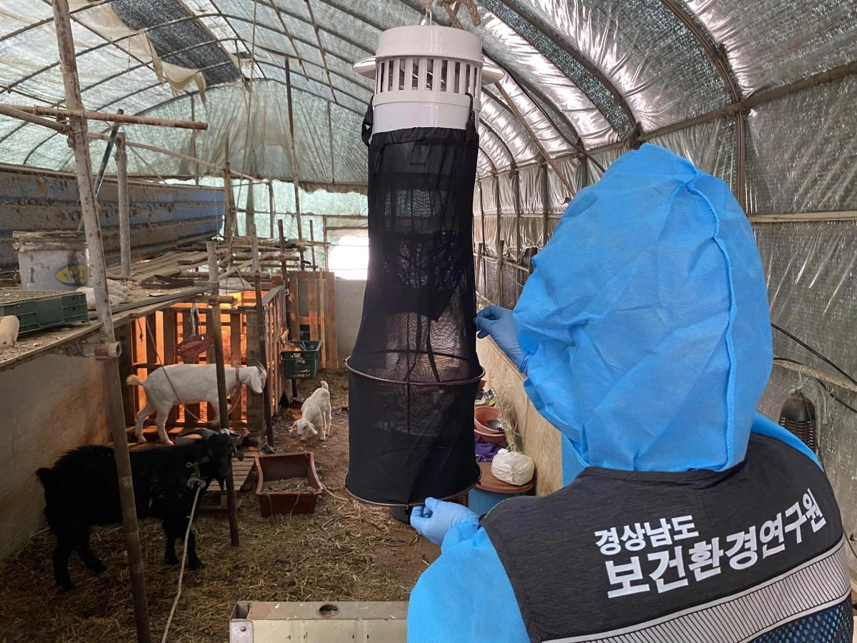 모기 채집 현장. 2026.5.4. 경남도 제공
