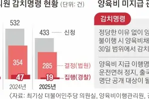 소송 끝 9년 만에 받아낸 양육비…해외 나가면 법 집행도 무용지물