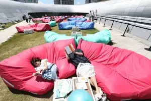 DDP서 온가족 독서 삼매경