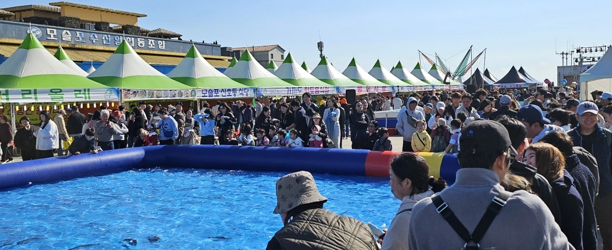 방어축제를 하는 모슬포항에 공중화장실이 생겨 축제때 관광객들의 불편을 해소할 전망이다. 사진은 지난해 방어축제 전경. 제주 강동삼 기자