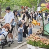 해남공룡대축제 14만 인파 ‘대박’… ‘가성비’와 ‘동심’ 다 잡았다
