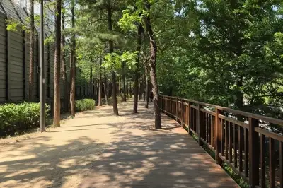 “경부고속도로 옆 숲길에서 산책하세요” 서초구, ‘길마중 초록숲길’ 정비완료