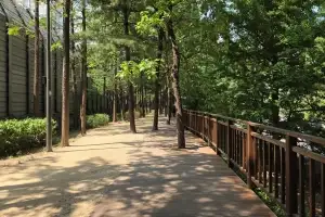 “경부고속도로 옆 숲길에서 산책하세요” 서초구, ‘길마중 초록숲길’ 정비완료