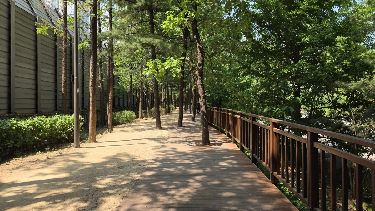 서울 서초구 경부고속도로변 ‘길마중 초록숲길’ 산책로에 데크로드가 새로 조성돼 있다. 서초구 제공