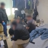 “해외 가서 짐 옮기면 고수익”…한국인 앞세운 국제 대마 조직 적발