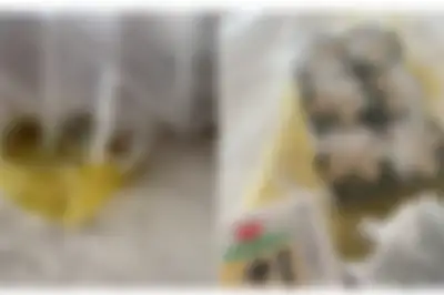 “배송받은 상품에 ‘노란 액체’ 가득…사람 소변 냄새가 납니다”