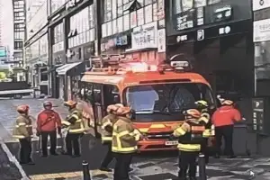 “멧돼지 3마리 돌아다녀요” 세종서 신고…소방당국, 도심서 2마리 사살