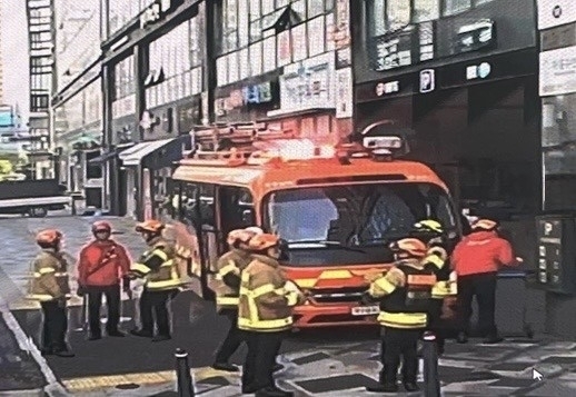 “멧돼지 3마리 돌아다녀요” 세종서 신고…소방당국, 도심서 2마리 사살