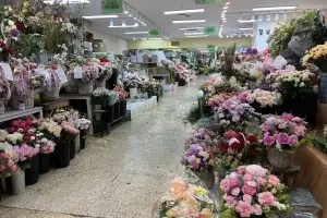 어버이날·스승에날 잇따른 호황기에도…밀려오는 수입꽃에 “농사 접고 싶다” 화훼농가 울상