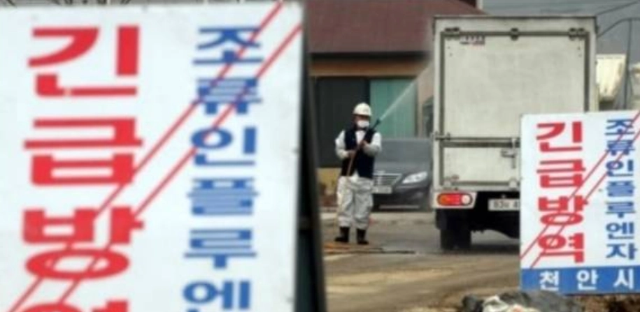 조류독감 방역 모습. 서울신문