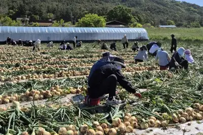 전남도, 영농철 일손 돕기 본격화