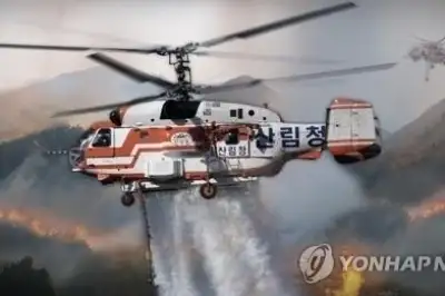 대구 군위 야산 불…‘원인 불명’