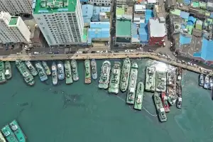 부산 영도 바다에 기름 2700ℓ 유출하고 은폐한 60대 적발