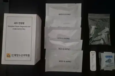 전국 최초 새우 전염병 복합 진단기술 개발 …새우 양식 피해 예방