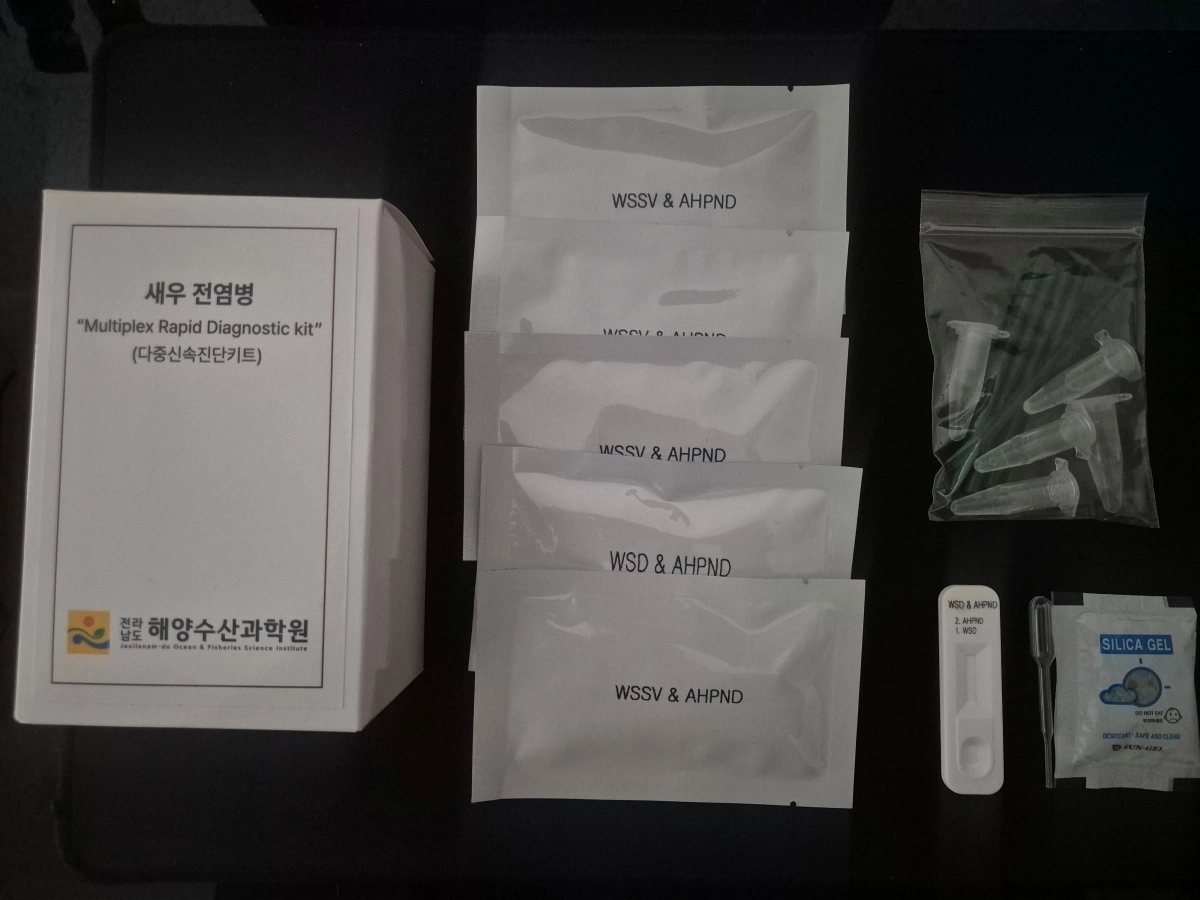 새우 전염병 동시 진단키트