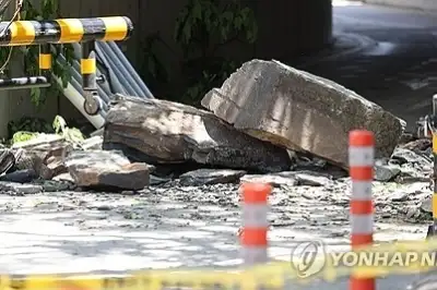 대구시, 낙석 등에 대한 안전점검 겉돈다